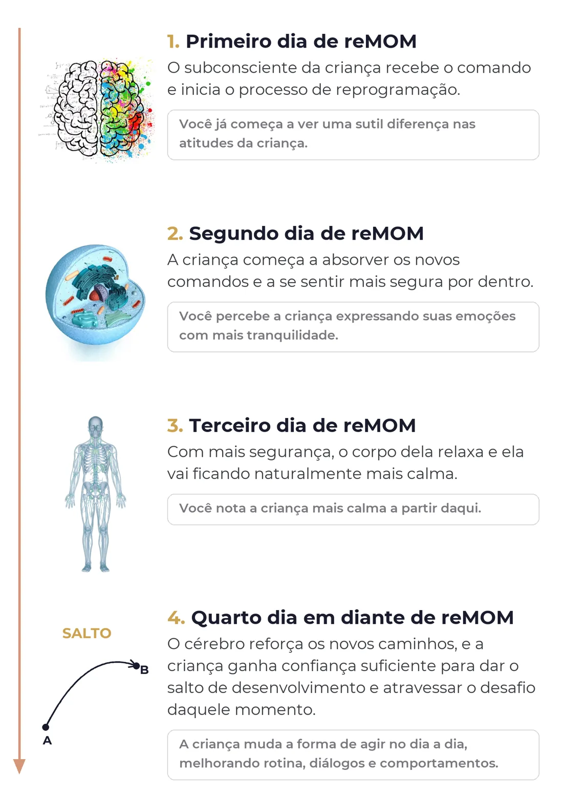 Como o reMOM funciona dia a dia